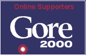 Check Out Gore's Views on Issues